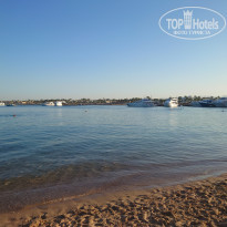 фото из отзыва ID 2653116