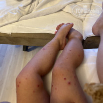 фото из отзыва ID 2653150