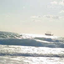 фото из отзыва ID 2653156