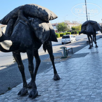 фото из отзыва ID 2653210