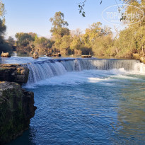 фото из отзыва ID 2653210