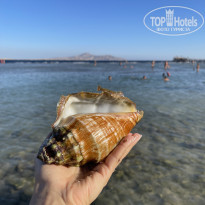 фото из отзыва ID 2653294