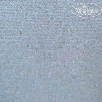 фото из отзыва ID 2653308