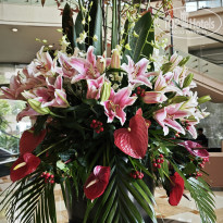 фото из отзыва ID 2653017