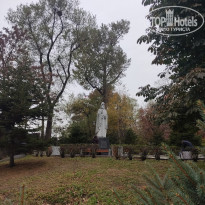 фото из отзыва ID 2653459