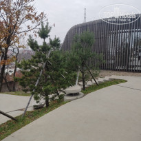 фото из отзыва ID 2653459