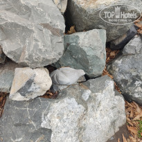 фото из отзыва ID 2653459