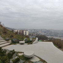 фото из отзыва ID 2653459