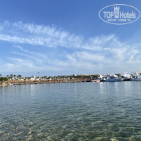 фото из отзыва ID 2653473