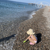 фото из отзыва ID 2653431