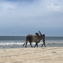 фото из отзыва ID 2653493