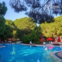 фото из отзыва ID 2653529