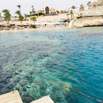 фото из отзыва ID 2653527