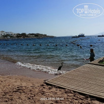 фото из отзыва ID 2653527