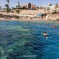 фото из отзыва ID 2653527