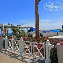 фото из отзыва ID 2653527