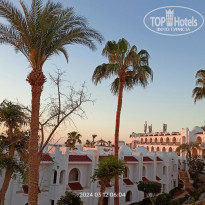 фото из отзыва ID 2653527