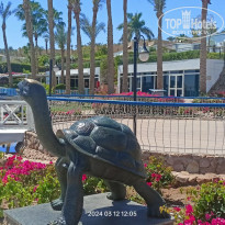 фото из отзыва ID 2653527