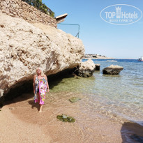 фото из отзыва ID 2653527