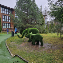 фото из отзыва ID 2653542