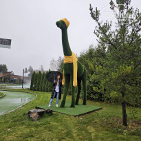 фото из отзыва ID 2653542