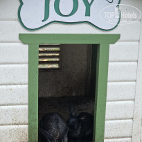 фото из отзыва ID 2653542