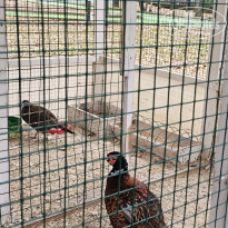 фото из отзыва ID 2653542