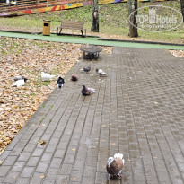 фото из отзыва ID 2653542