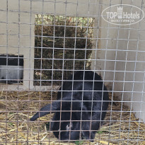 фото из отзыва ID 2653542