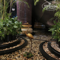 фото из отзыва ID 2653017