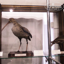 фото из отзыва ID 2653548