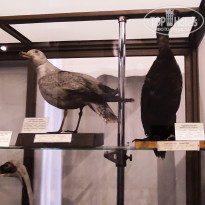 фото из отзыва ID 2653548