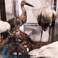 фото из отзыва ID 2653548