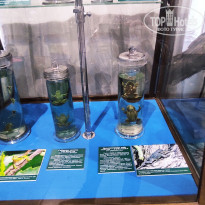 фото из отзыва ID 2653548