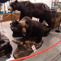 фото из отзыва ID 2653548