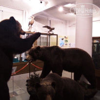 фото из отзыва ID 2653548