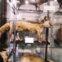 фото из отзыва ID 2653548