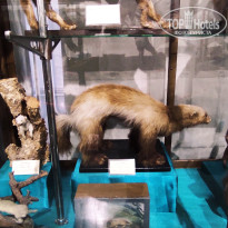 фото из отзыва ID 2653548