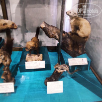 фото из отзыва ID 2653548