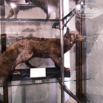 фото из отзыва ID 2653548