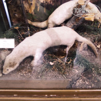 фото из отзыва ID 2653548