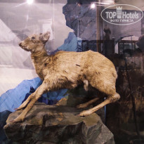 фото из отзыва ID 2653548