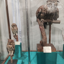 фото из отзыва ID 2653548