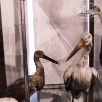 фото из отзыва ID 2653548