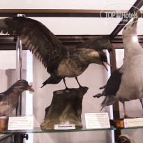 фото из отзыва ID 2653548