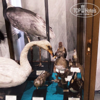 фото из отзыва ID 2653548