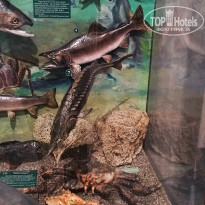 фото из отзыва ID 2653548