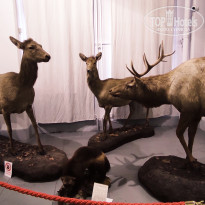 фото из отзыва ID 2653548