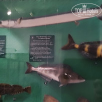 фото из отзыва ID 2653548