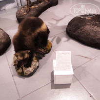 фото из отзыва ID 2653548